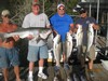 (07/31/2017) - Nice Striped Bass